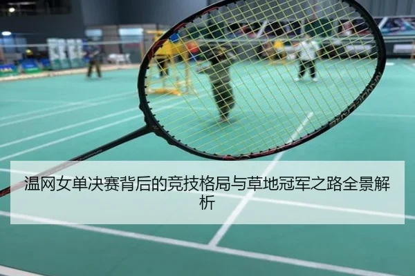 温网女单决赛背后的竞技格局与草地冠军之路全景解析