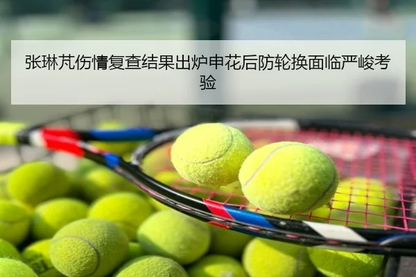张琳芃伤情复查结果出炉申花后防轮换面临严峻考验