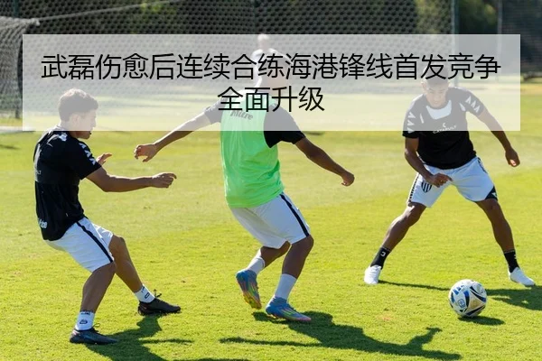 武磊伤愈后连续合练海港锋线首发竞争全面升级